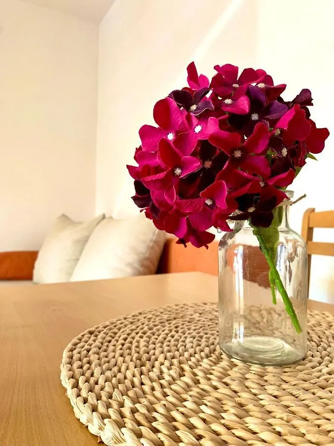 Apartment Apartman Mirta Bibinje Croatia